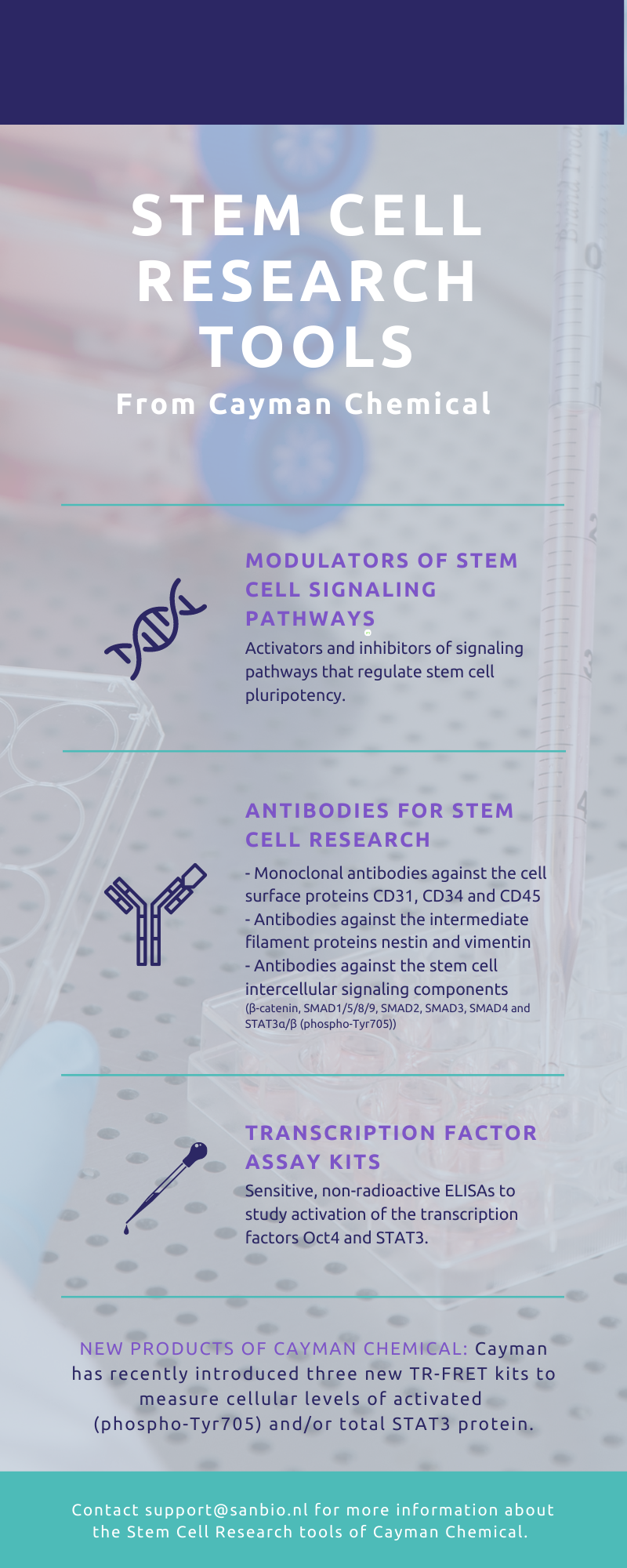 Consideration stage Stem cell (Canva 800x2000)